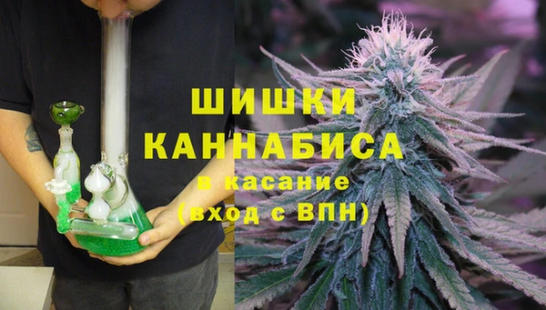ПСИЛОЦИБИНОВЫЕ ГРИБЫ Каменка