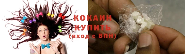 ПСИЛОЦИБИНОВЫЕ ГРИБЫ Каменка