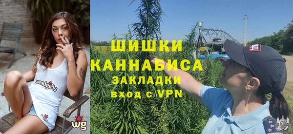 ПСИЛОЦИБИНОВЫЕ ГРИБЫ Каменка