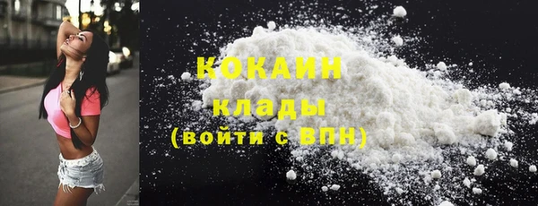 тгк Каменногорск