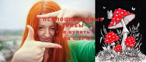 mdpv Карпинск