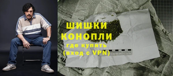 тгк Каменногорск