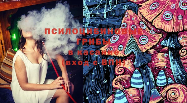 тгк Каменногорск