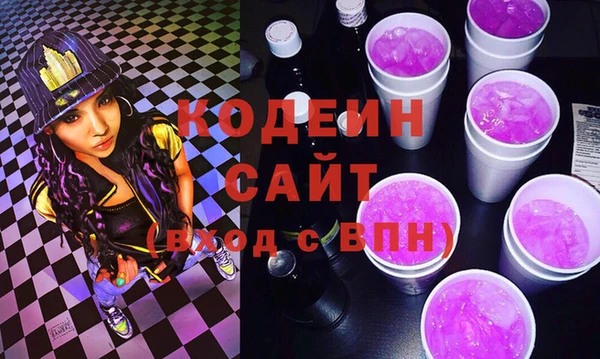 хмурый Инта