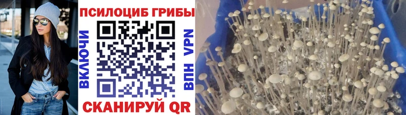 Галлюциногенные грибы ЛСД Куса